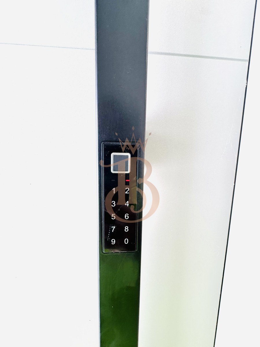 Finger Print/ Code/ Schloss