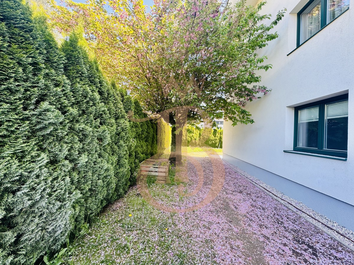 Foto der Immobilie (17374)