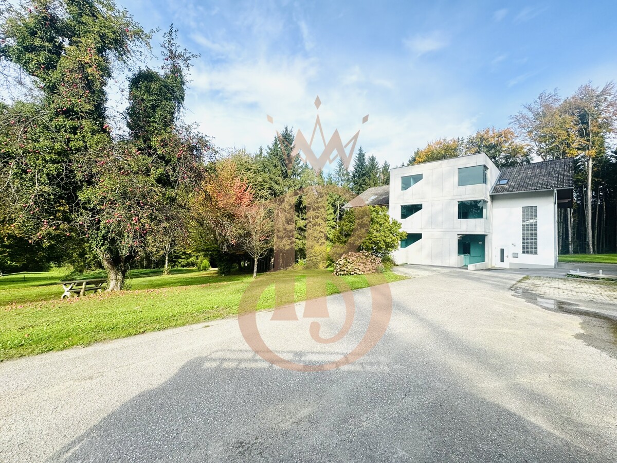 Foto der Immobilie (18385)