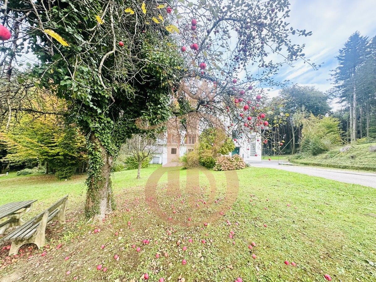 Foto der Immobilie (18388)