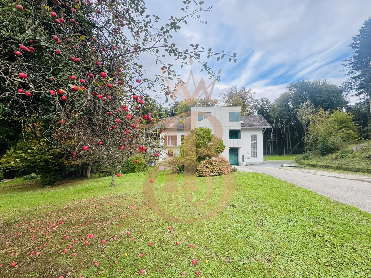 Foto der Immobilie (18389)