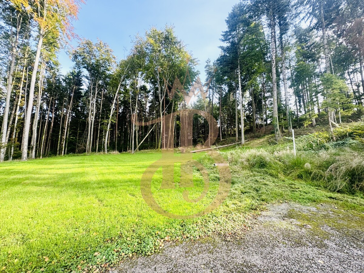 Foto der Immobilie (18390)